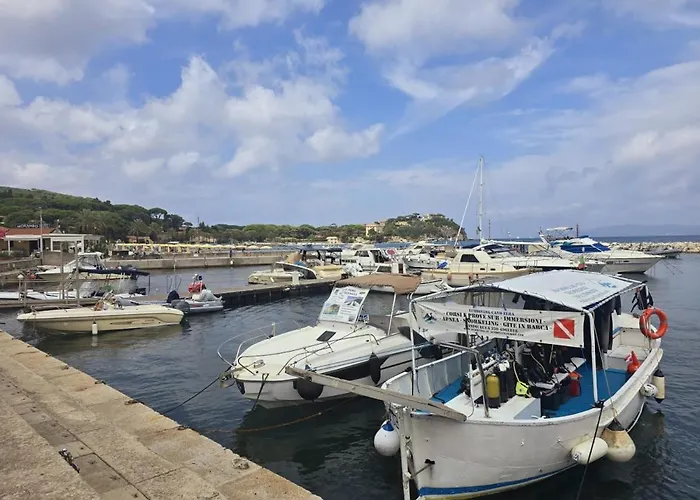 Il - Elba Affitti Διαμέρισμα Cavo